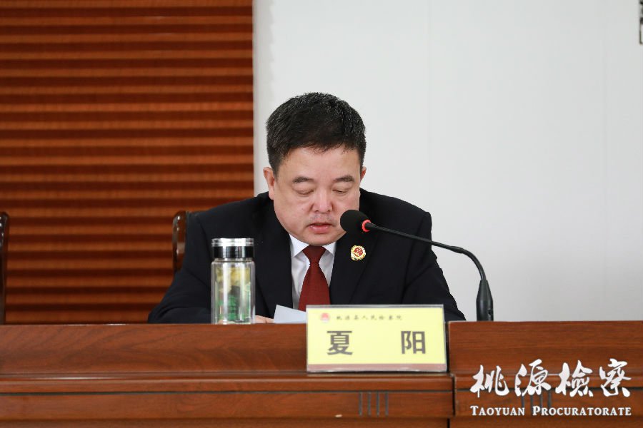 夏阳.jpg