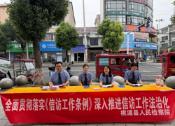 普法宣传入民心 依法信访护民生——桃源县人民检察院开展信访法治宣传月活动
