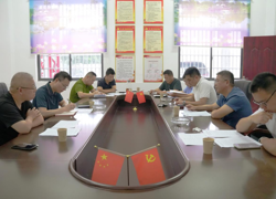 王海龙调研杨溪桥社区乡村振兴工作